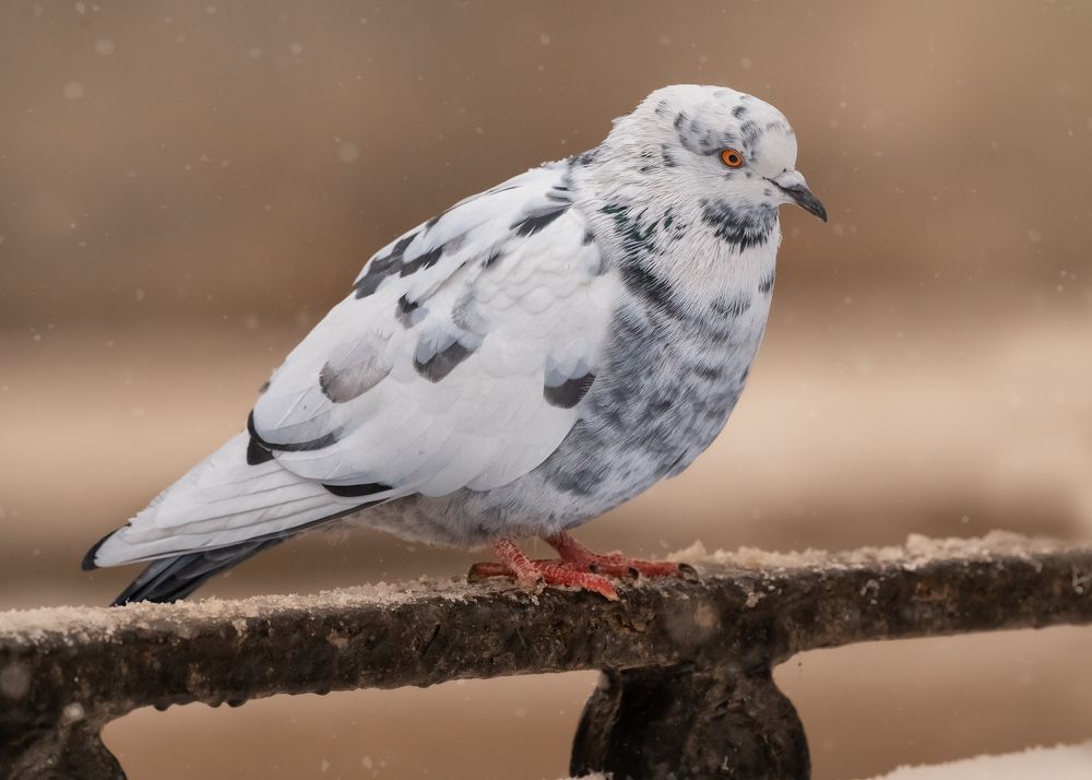 Photograph by Тамара Вотинцева