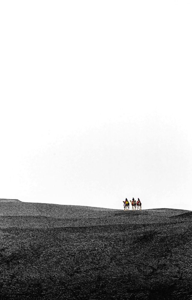 Фотография автора Fernando orozco fajuri