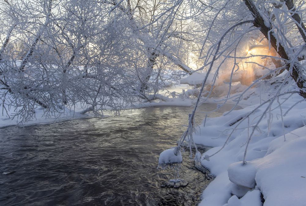 Photograph by Татьяна Феденкова