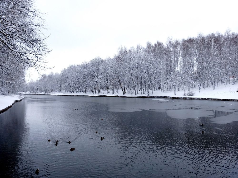 Photograph by Ольга Юрченко