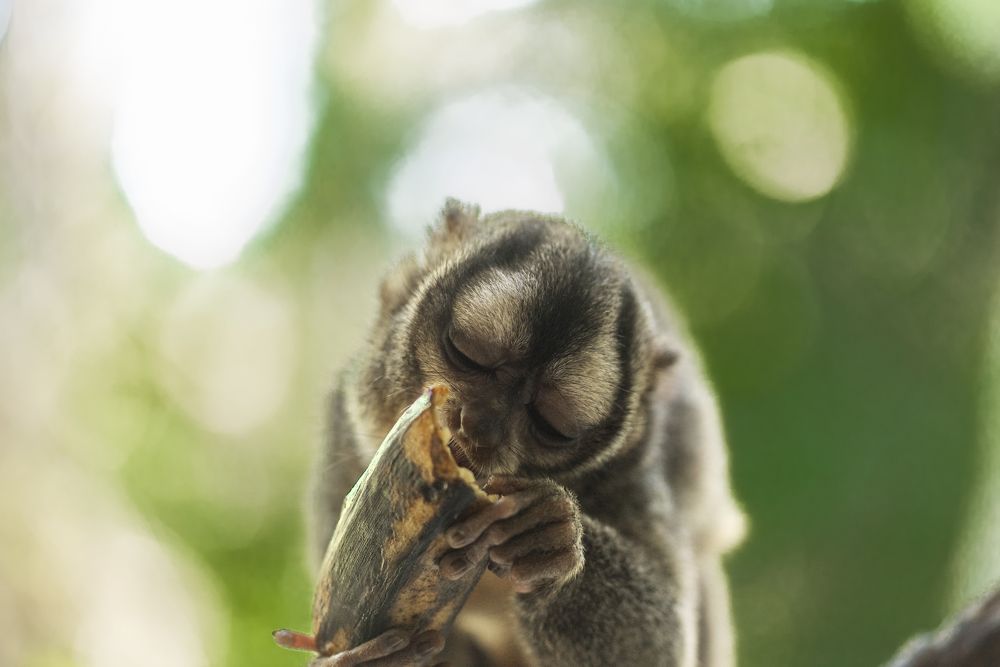 Фотография автора Jorge Santander