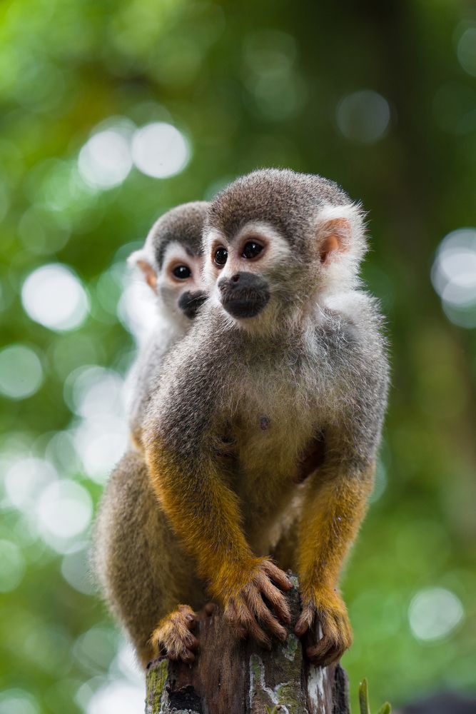 Фотография автора Jorge Santander