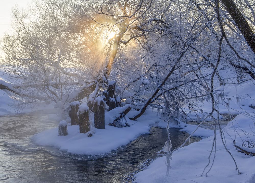 Photograph by Татьяна Феденкова