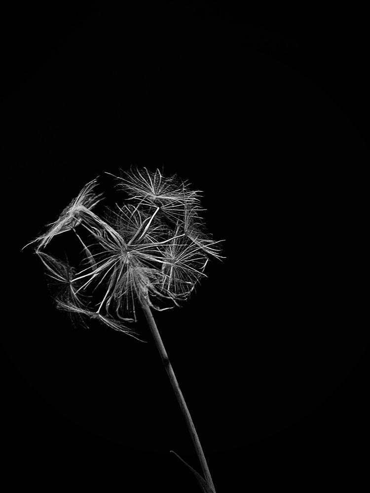 Фотография автора Ольга Каминская