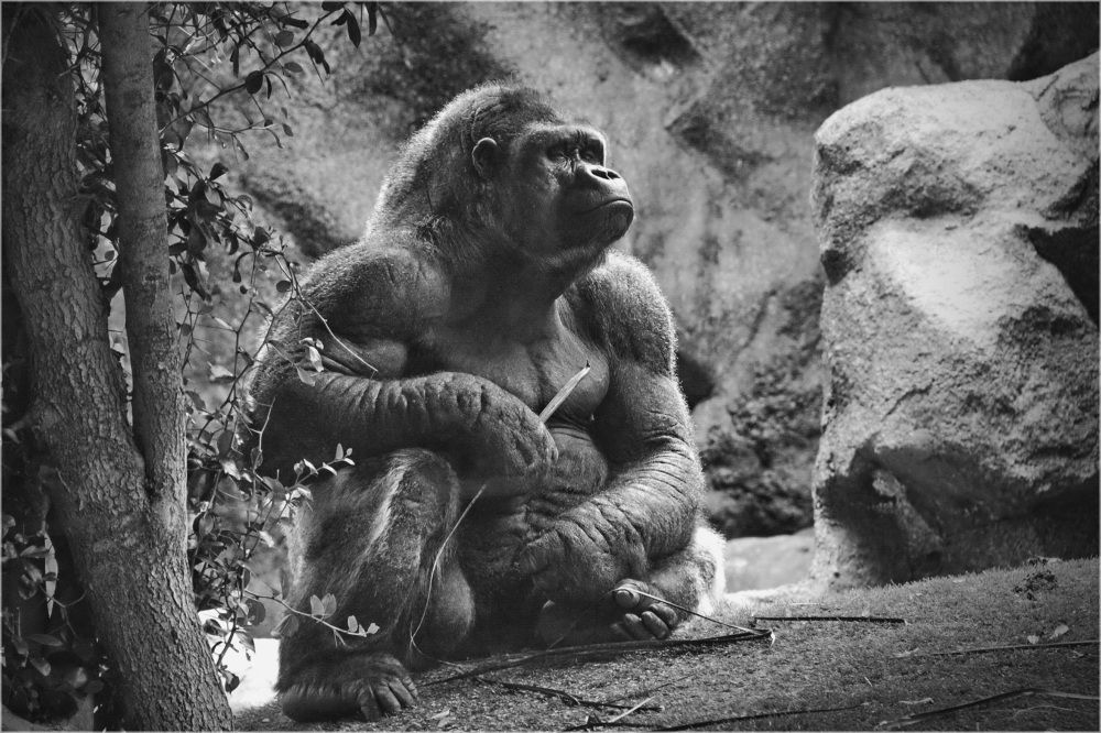 Photograph by Aleksandr Larionov