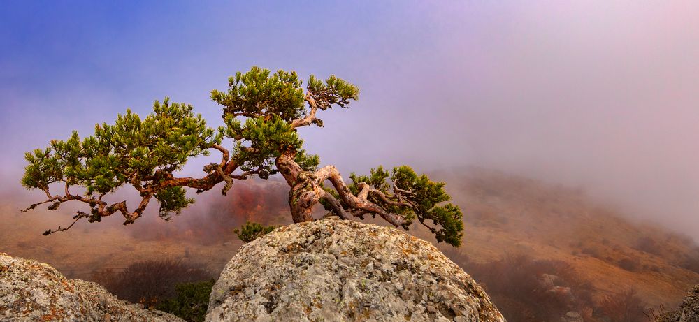 Photograph by Сергей Абашкин