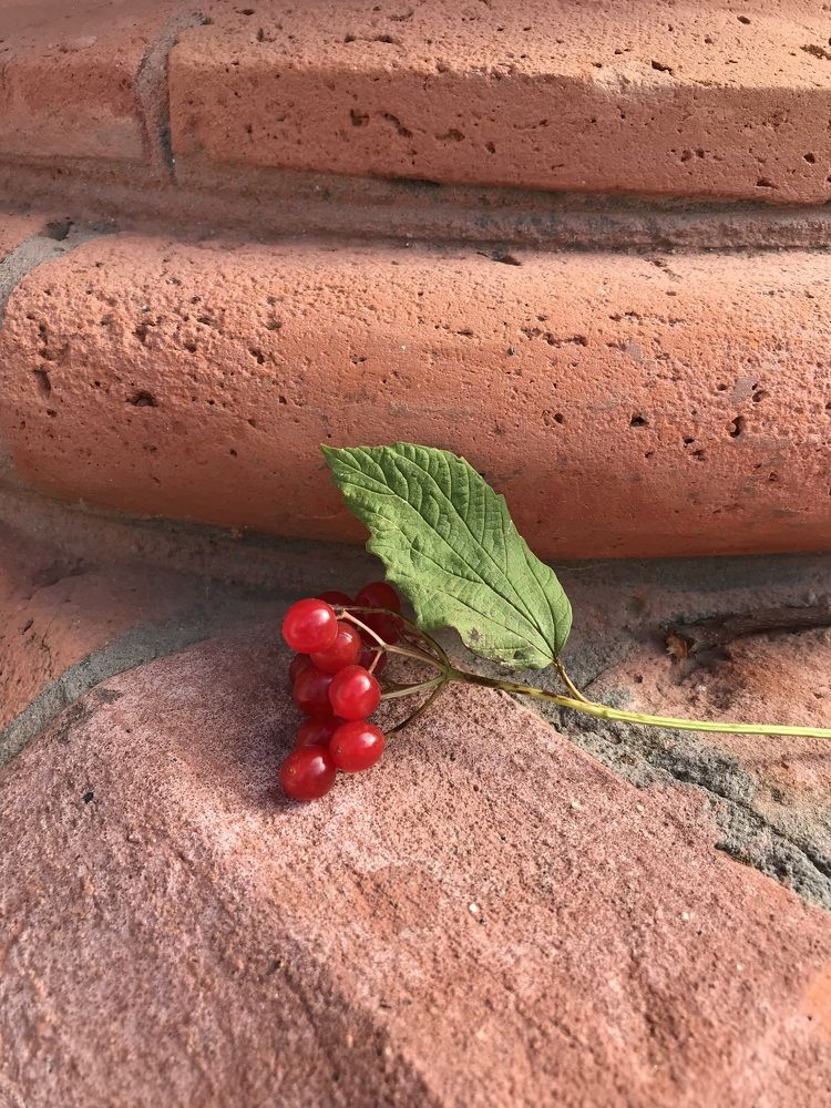 Photograph by Наталья Гусева