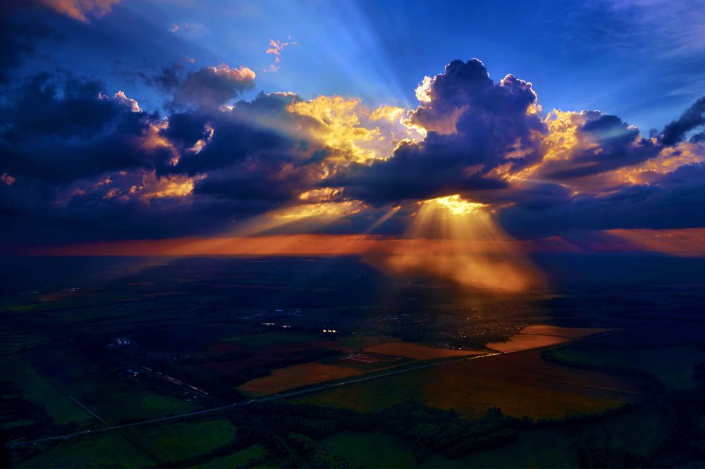 Янтарное безумие.