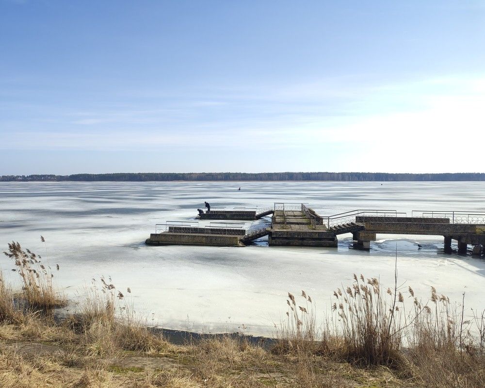 Фотография автора Татьяна Могилевец