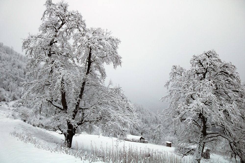 Photograph by Zahra jouri