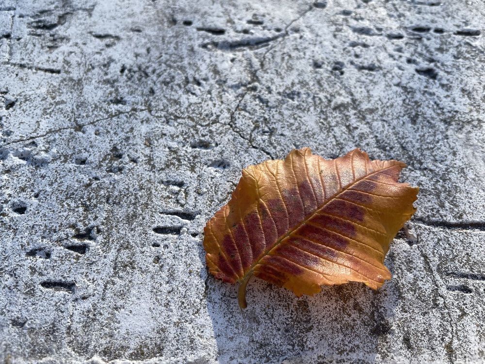 Photograph by Марина