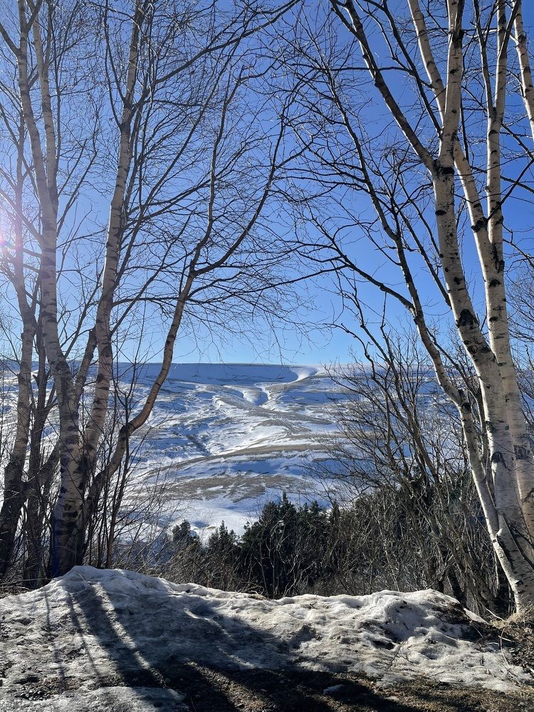 Photograph by Марина