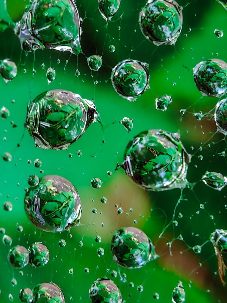 Photograph by Елена Макеева