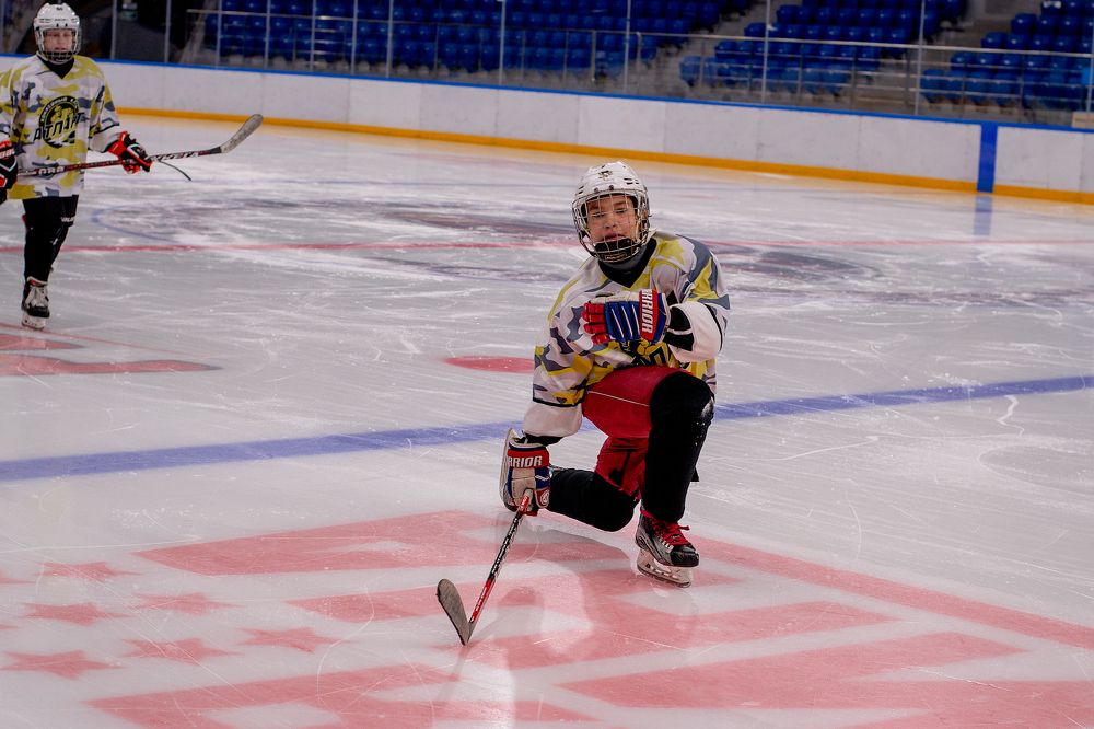 Фотография автора Алена Приподаева