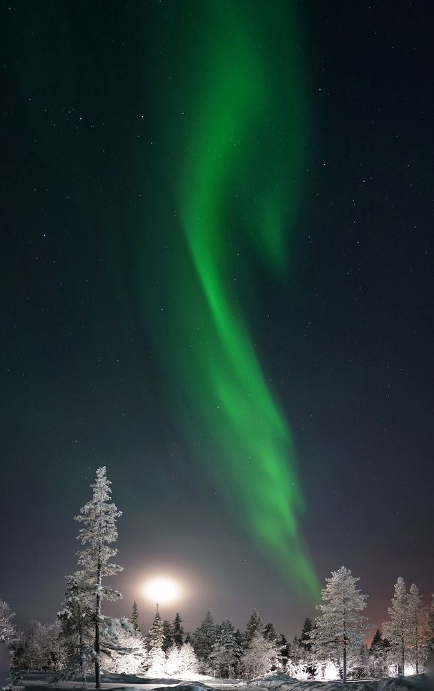 Photograph by Сергей Гуляев