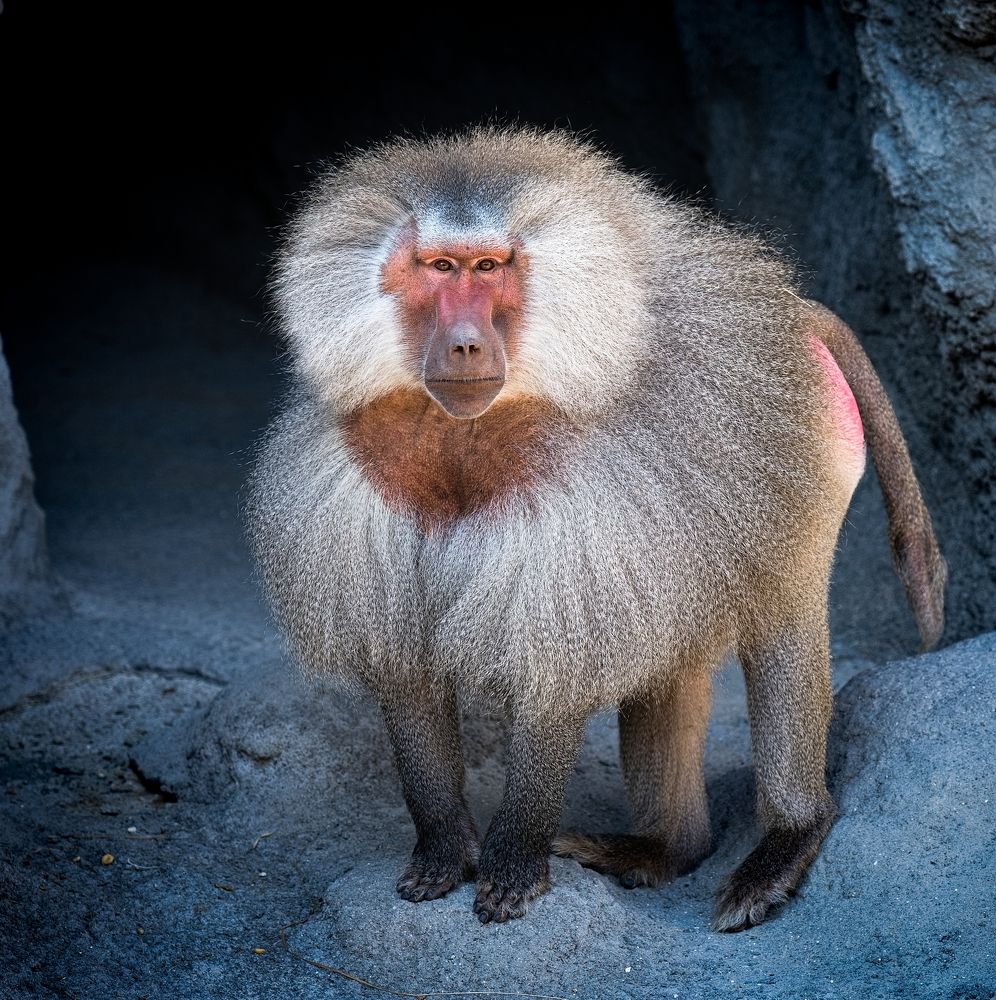 Photograph by Milan Uhrin