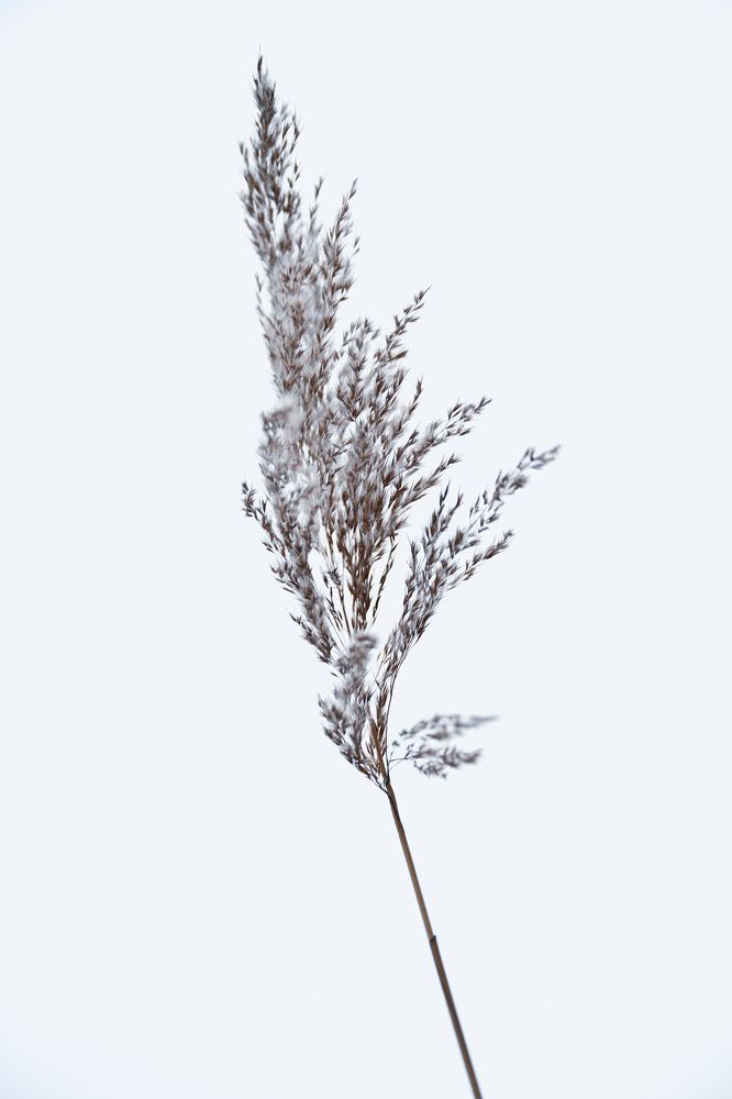 Photograph by Елена Март