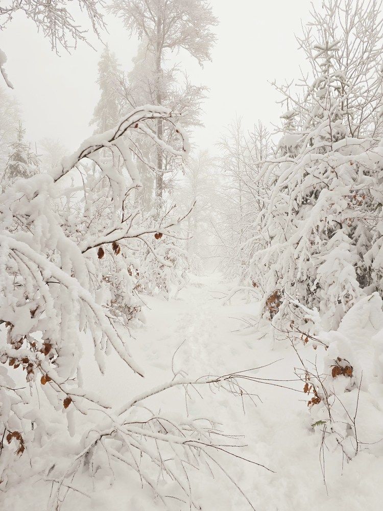 Photograph by Светлана