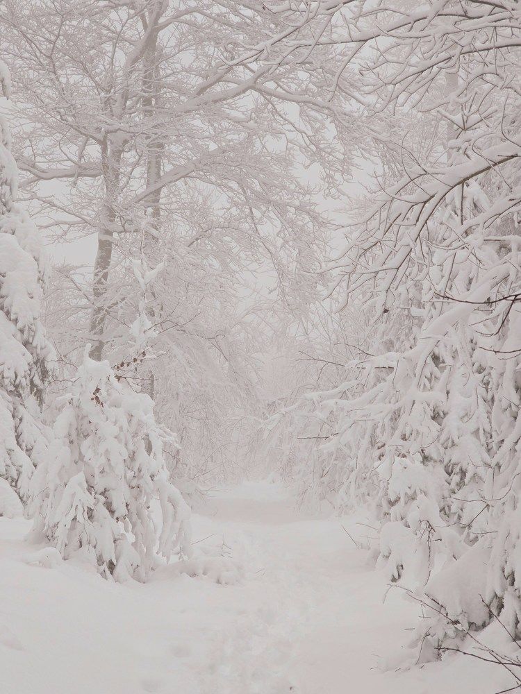 Photograph by Светлана