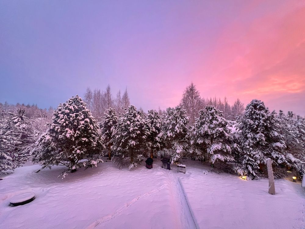 Фотография автора Olga Klyueva