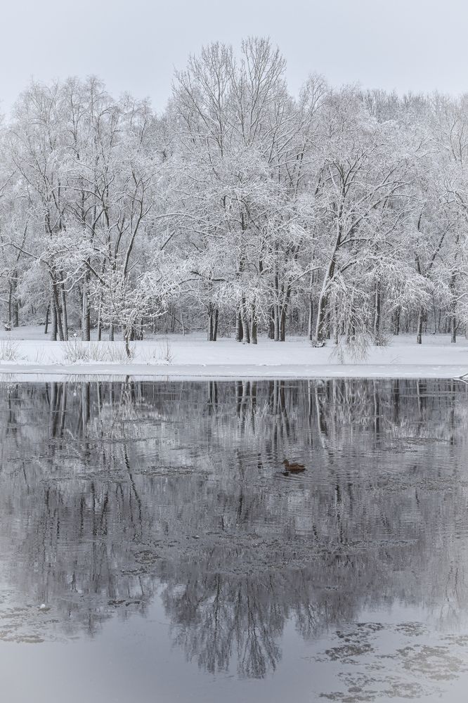 Photograph by Татьяна Абабкова