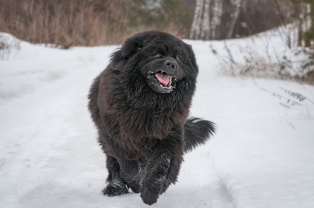 Photograph by Олег Тыркин