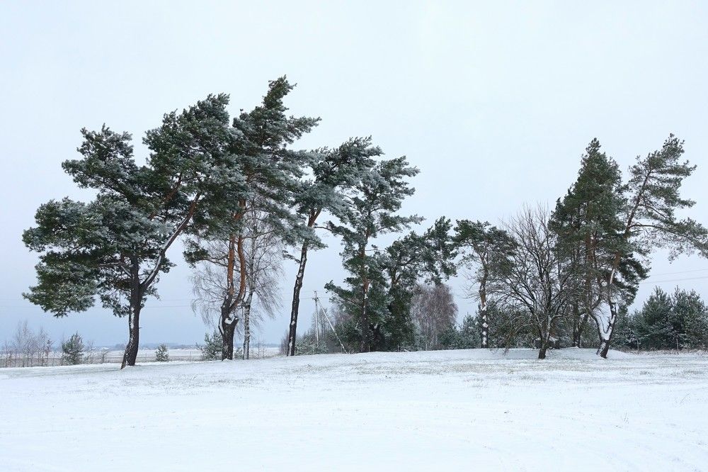 Photograph by jelena konickaja