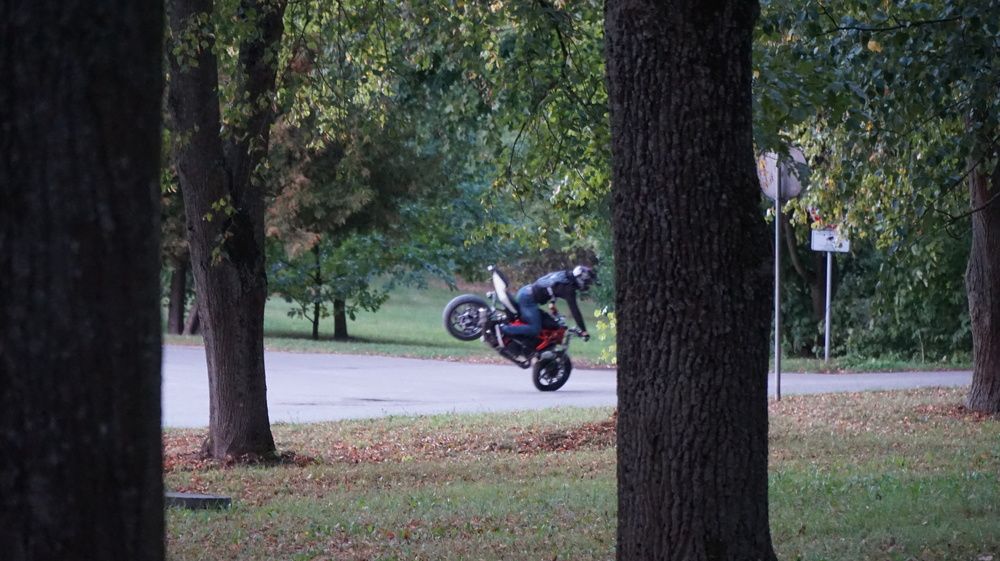 Фотография автора Aiste Adomaitiene