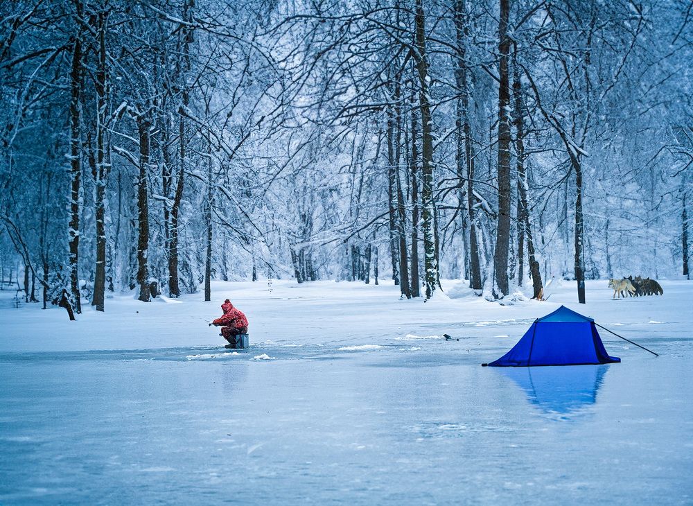 Photograph by Елена Март