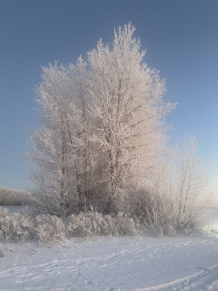 Photograph by Юлия Хлебодарова