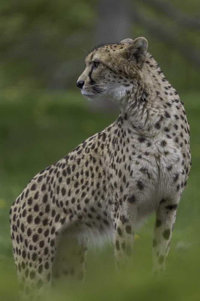 Photograph by ALI Pashang