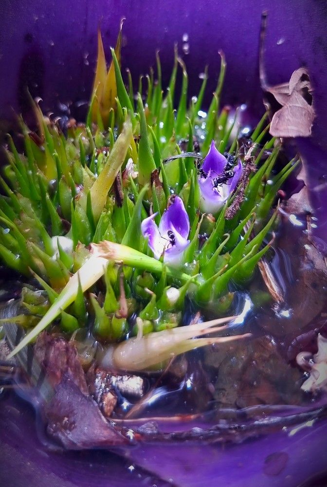 Photograph by Gr Marie