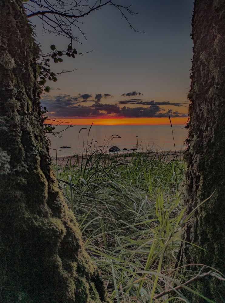 Фотография автора Михаил Швайко