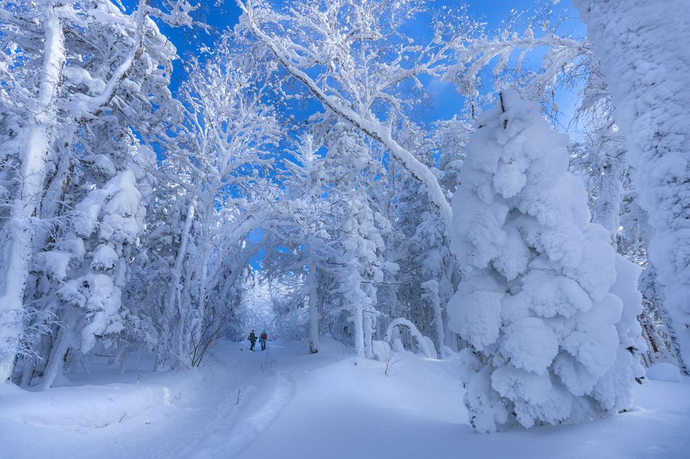 Photograph by Ольга Мусиенко