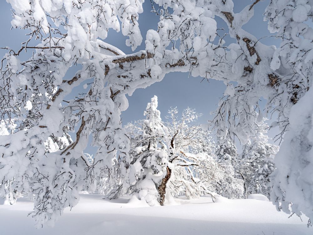 Photograph by Ольга Мусиенко