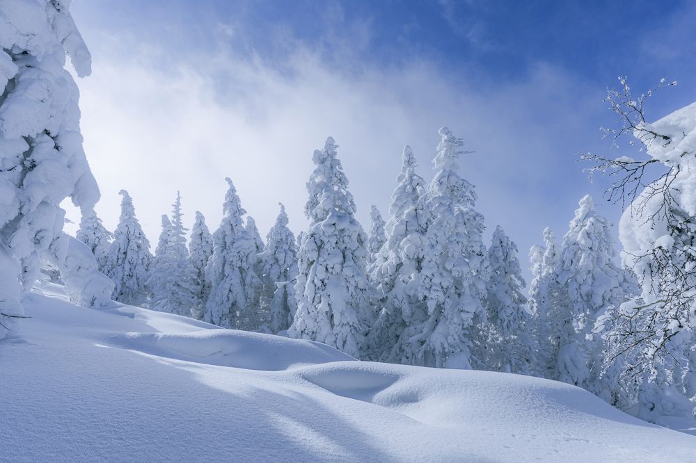 Фотография автора Ольга Мусиенко