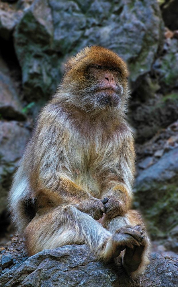 Photograph by Zaneta Konradova