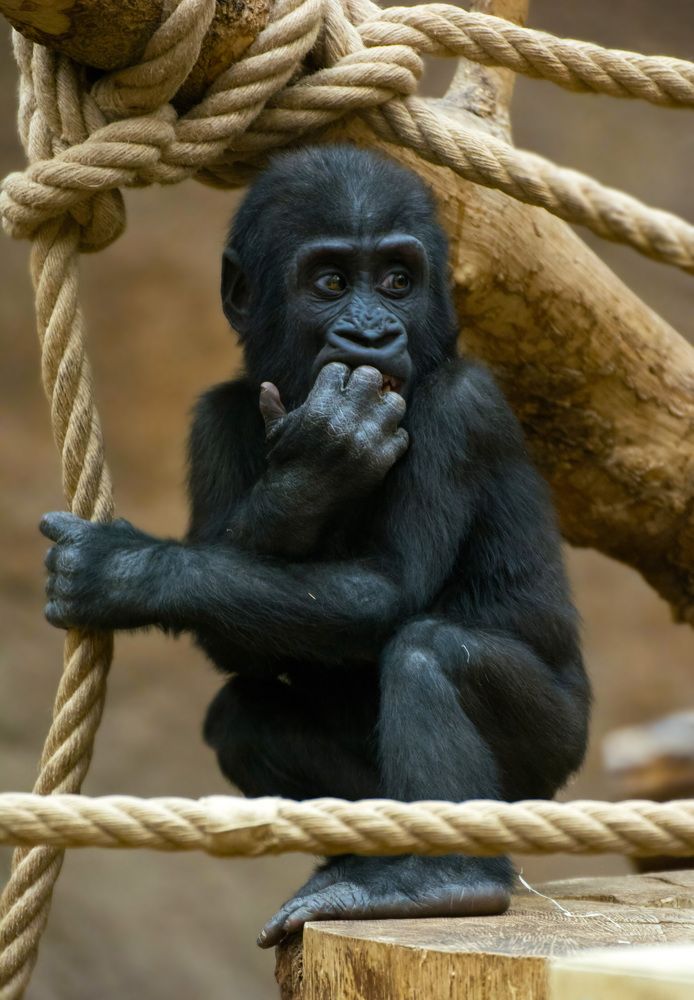 Photograph by Zaneta Konradova