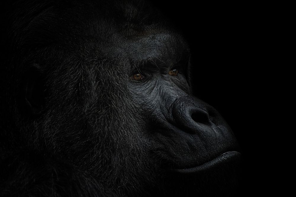 Photograph by Zaneta Konradova