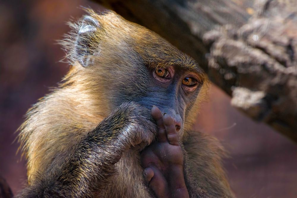 Photograph by Zaneta Konradova