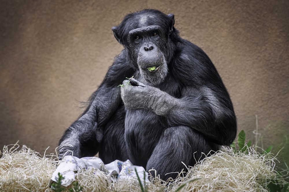 Photograph by Zaneta Konradova