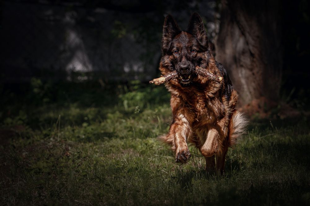 Photograph by Ольга Рябчикова