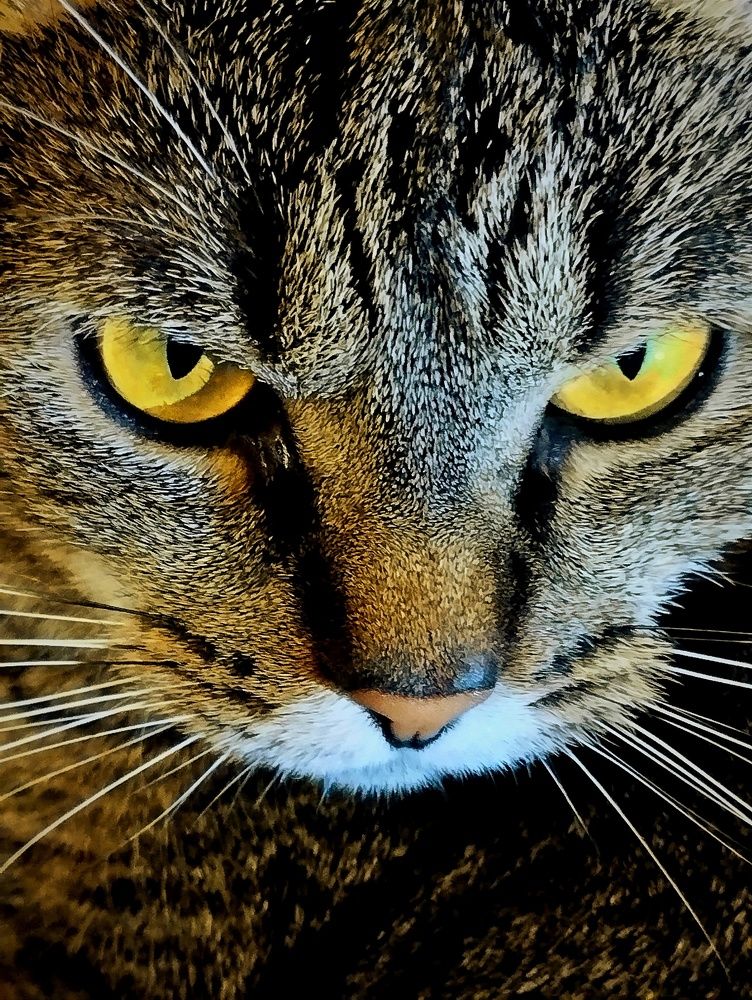 Photograph by Ия Дирко