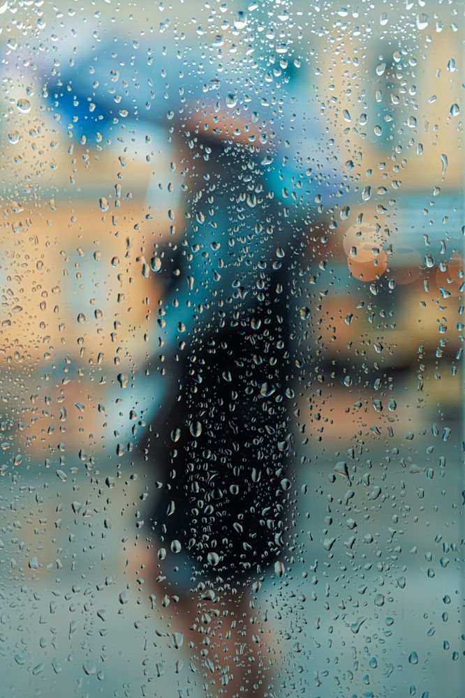 Rainy Day