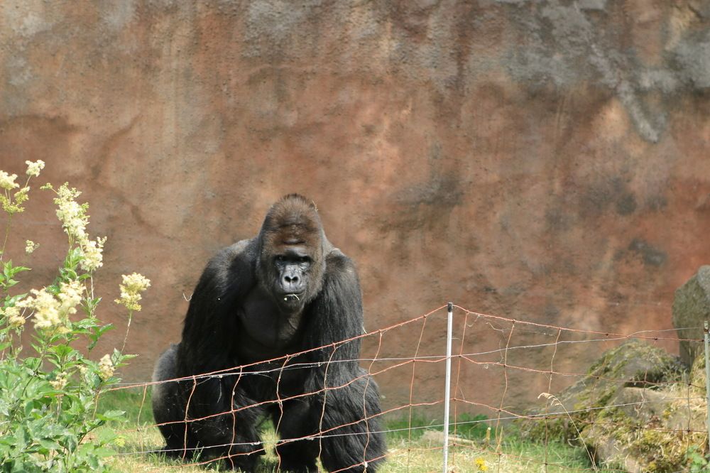 Photograph by Svetlana Kovalchuk