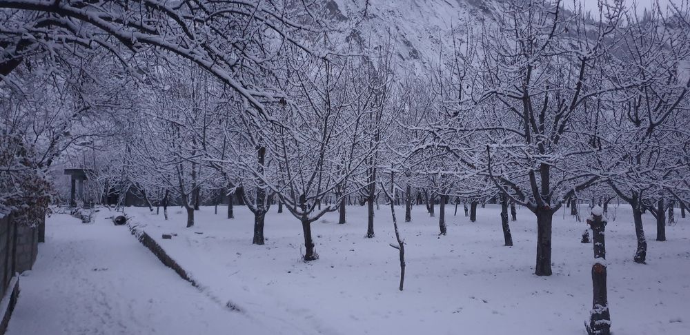 Photograph by Ishaq Karim