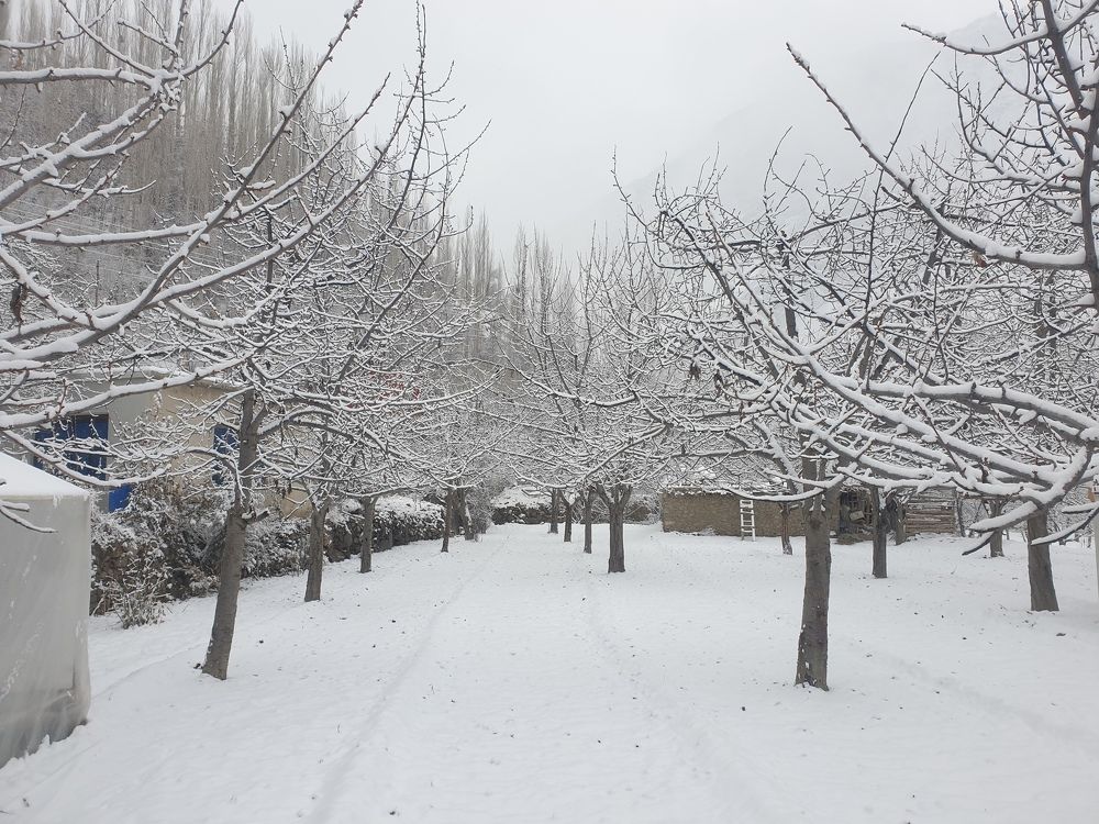 Photograph by Ishaq Karim