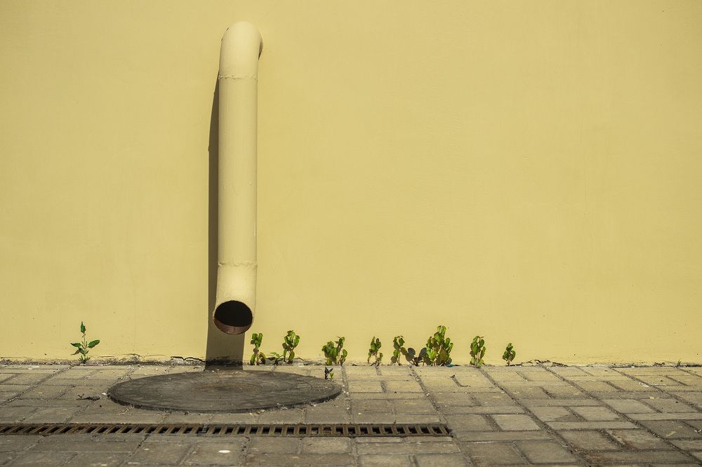 Фотография автора Андрей Рогов