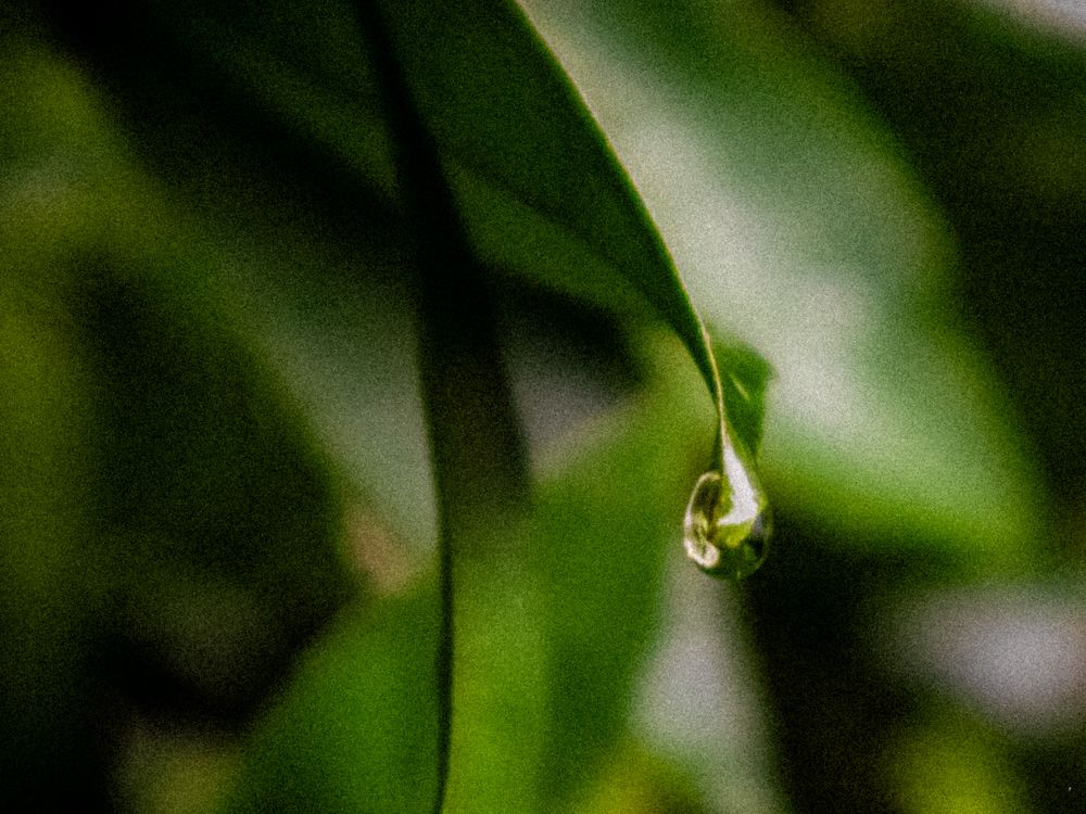 Photograph by Delfina Paulo