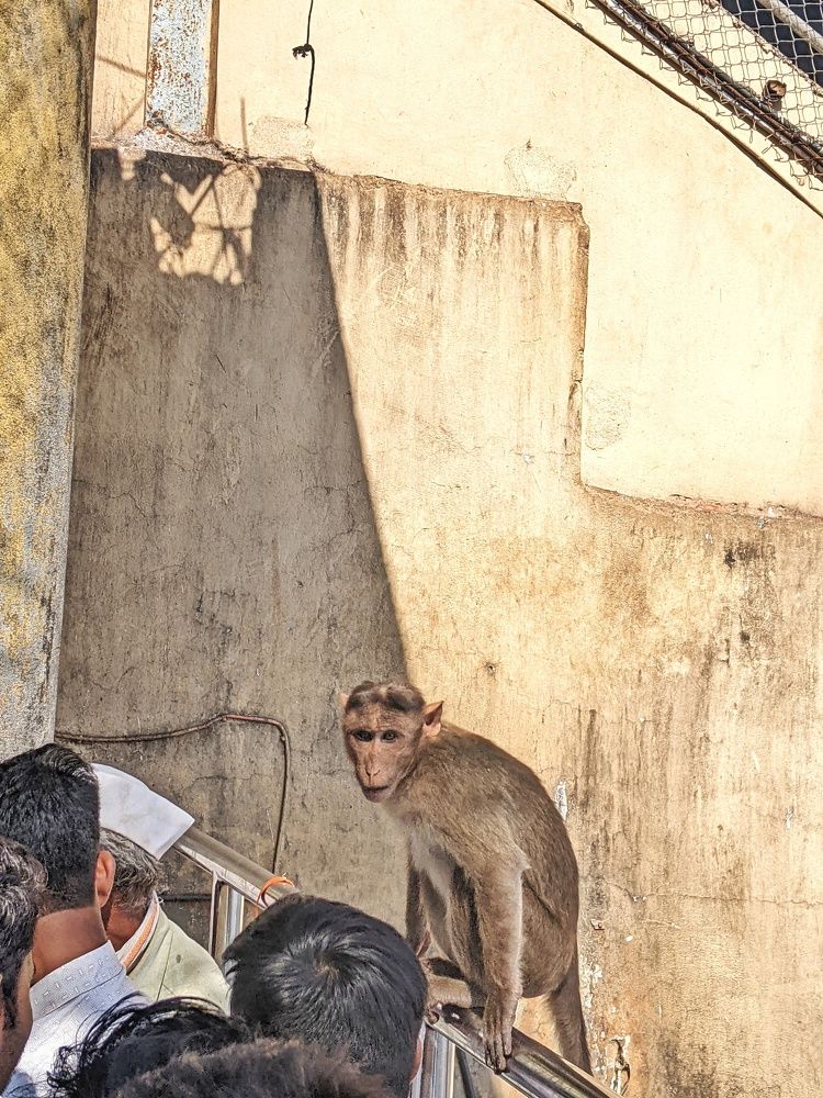 Photograph by Sai Krishna